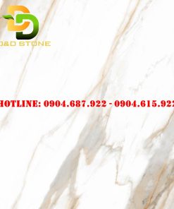 Mẫu gạch lát nền prime dd21000