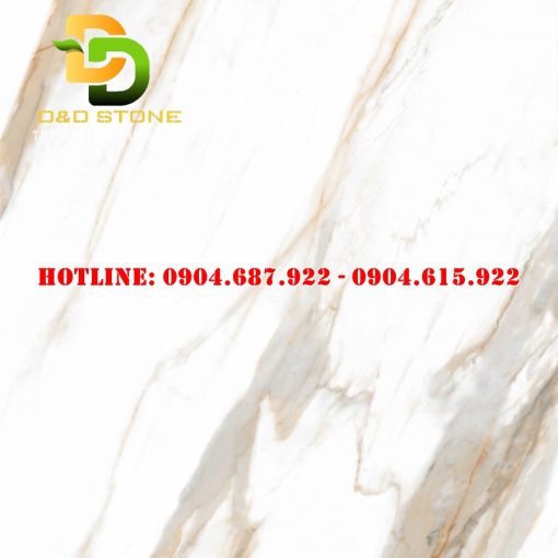 Mẫu gạch lát nền prime dd21000