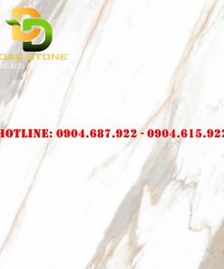 Gạch lát nền prime dd21000