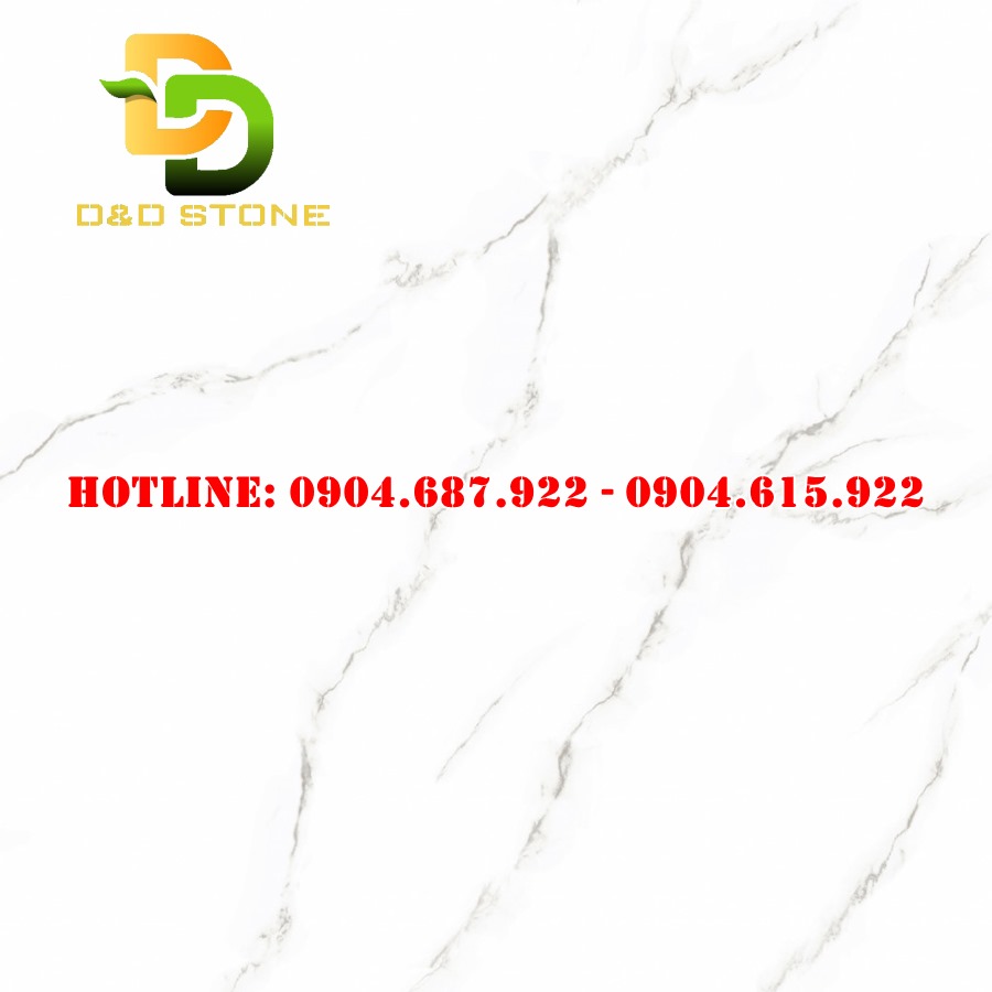 Mẫu gạch lát nền DD21003