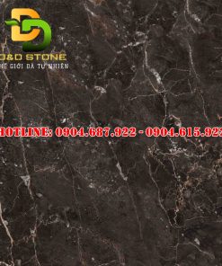 Mẫu gạch lát nền prime dd21005