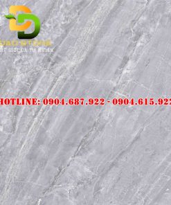 Gạch ốp lát prime 100x100 dd21006