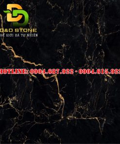 Gạch ốp lát prime 100x100 dd21008