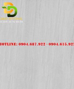 Mẫu gạch ốp lát Prime dd21013