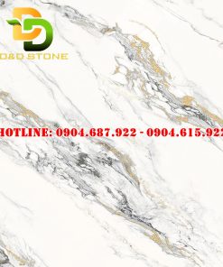 Mẫu gạch lát nền prime DD21020