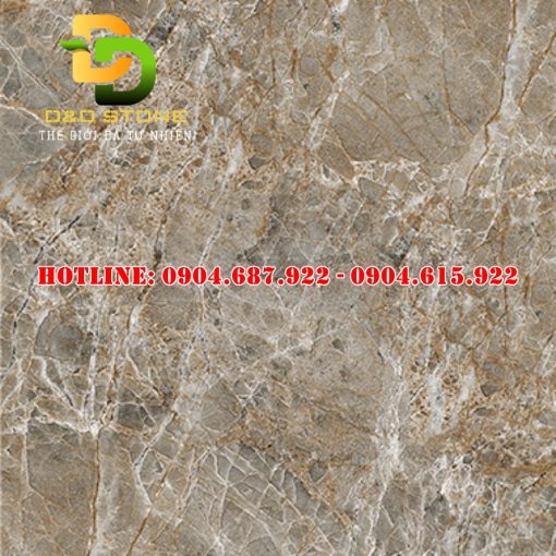 Mẫu gạch lát nền Prime DD09337