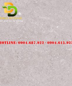 Mẫu gạch lát nền vtdd20046