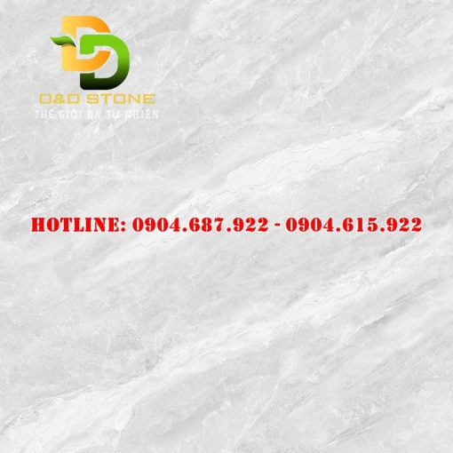 Gạch ốp lát Vitto 100x100 vtdd06265