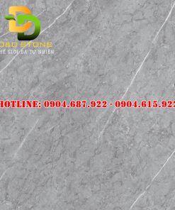 Gạch ốp lát Vitto 100x100 VTDD06268