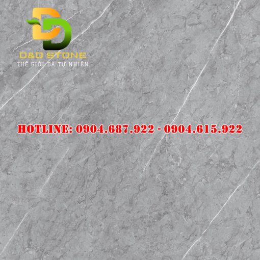 Gạch ốp lát Vitto 100x100 VTDD06268