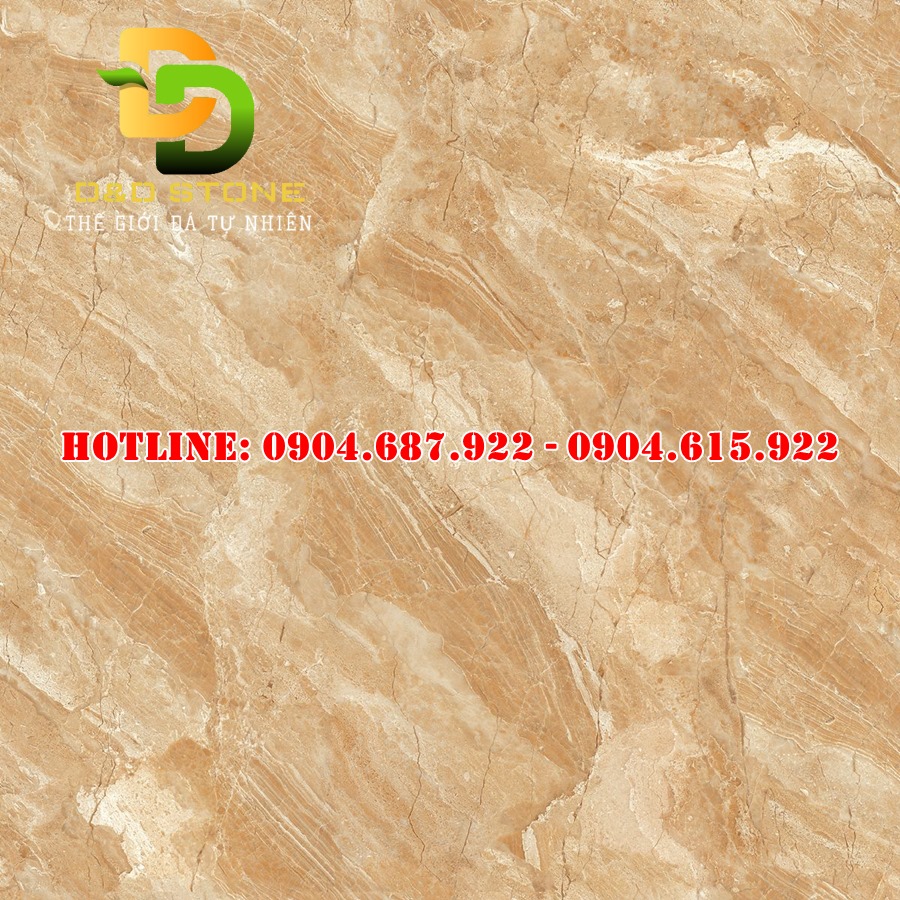 Gạch ốp lát Vitto 80x80 VTDD0893