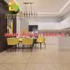 Gạch ốp lát Vitto 80x80 vtdd4052