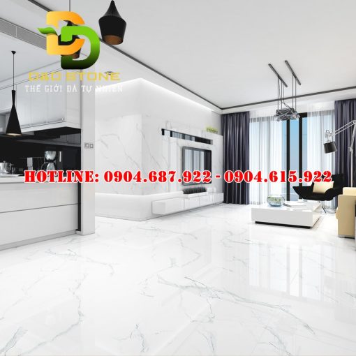 Mẫu gạch ốp lát Vitto 80x80 vtdd0805