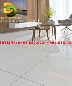 Mẫu gạch ốp lát Vitto 80x80 vtdd0828