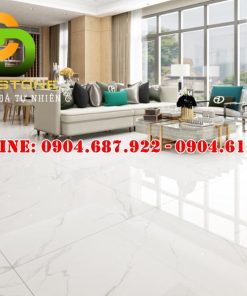 Mẫu gạch ốp lát Vitto 100x100 vtdd6201