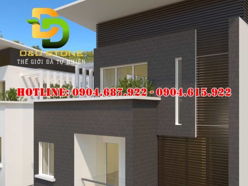 Mẫu gạch thẻ Vitto 16x50 vtdd1851