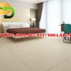 Mẫu gạch ốp lát Vitto 80x80 vtdd4101
