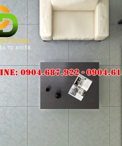 Mẫu gạch ốp lát Vitto 80x80 vtdd4102