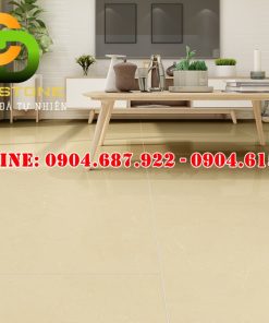 Mẫu gạch ốp lát Vitto 80x80 vtdd5824