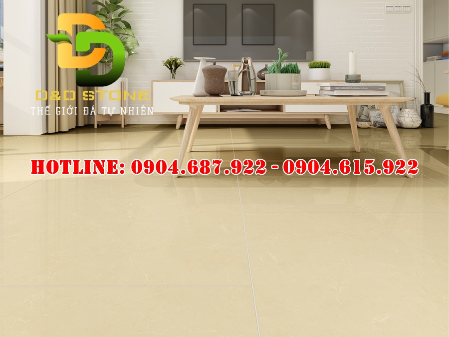 Mẫu gạch ốp lát Vitto 80x80 vtdd5824