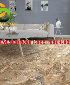 Mẫu gạch ốp lát Vitto VTDD5864
