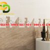 Mẫu gạch phòng tắm Vitto VTDD2352