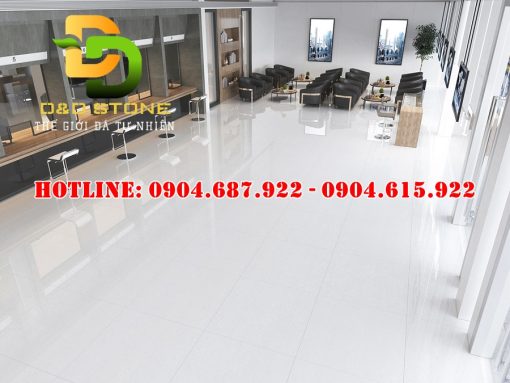 Mẫu gạch ốp lát Vitto 100x100 VTDD6256