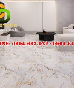 Mẫu gạch ốp lát Vitto 80x80 vtdd9455