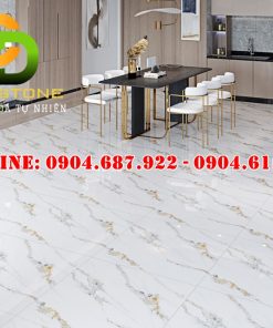 Mẫu gạch ốp lát Vitto 80x80 VTDD0892