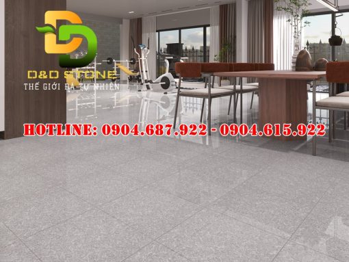 Mẫu gạch ốp lát Vitto VTDD01239