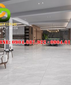 Mẫu gạch ốp lát Vitto VTDD06265