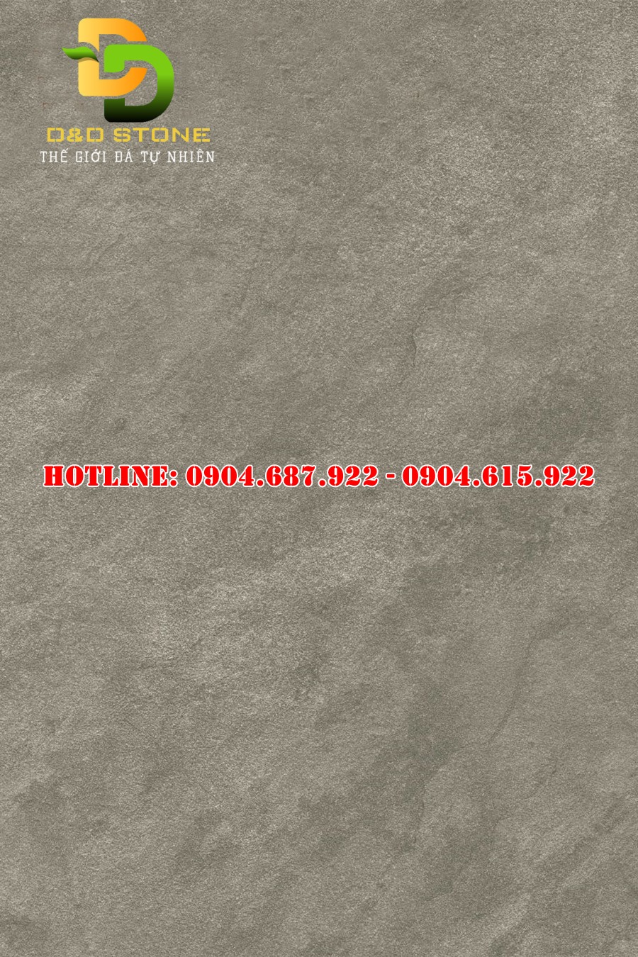 Gạch ốp lát vitto 60x90 vtdd3283F3