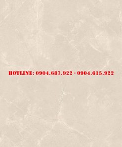 Gạch ốp lát vitto 60x120 vtdd3601