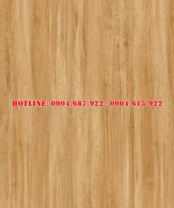 Gạch ốp lát vitto 60x120 vtdd3602