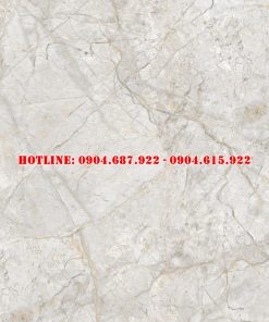 Gạch ốp lát vitto 60x120 vtdd3605