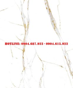 Gạch ốp lát vitto 60x120 vtdd3801