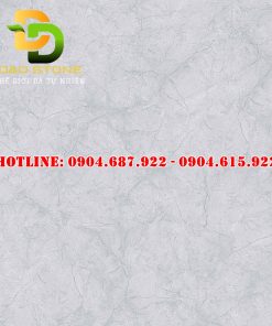 Gạch ốp lát vitto 80x80 VTDD4102