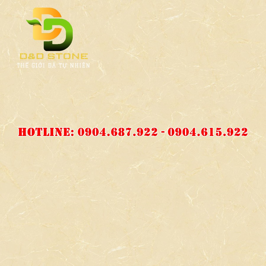 Gạch ốp lát Vitto 80x80 vtdd5824