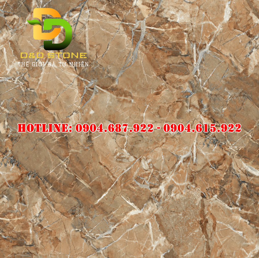 Gạch ốp lát Vitto 80x80 VTDD5864