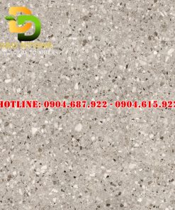 Gạch ốp lát vitto VTDD5883