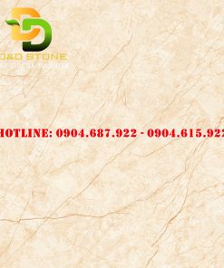 Gạch ốp lát vitto 100x100 vtdd6205