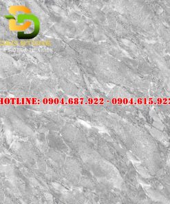 Gạch ốp lát Vitto 100x100 vtdd6209
