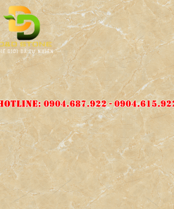 Gạch ốp lát vitto 100x100 vtdd6258