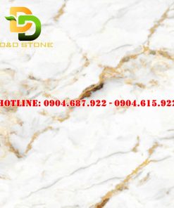 Mẫu gạch lát nền prime DD21001