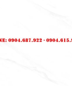 Gạch ốp lát Vitto 40x80 vtdd7701