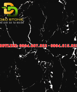 Gạch ốp lát Vitto 80x80 VTDD9403