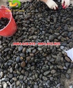 Soi-cuoi-den-tu-nhien (2)