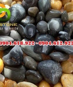 Soi-cuoi-den-tu-nhien (4)