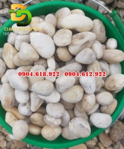 Soi-cuoi-trang-tu-nhien (3)