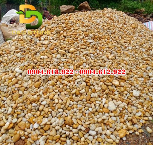 Soi-cuoi-vang-tu-nhien (1)